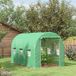 Serre tunnel verte 8 m² 4m x 2m x 2.05m structure tubulaire porte zippée 6 fenêtres