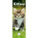 CAROUSEL CALENDARS Kittens Kalender 2027 Slimline