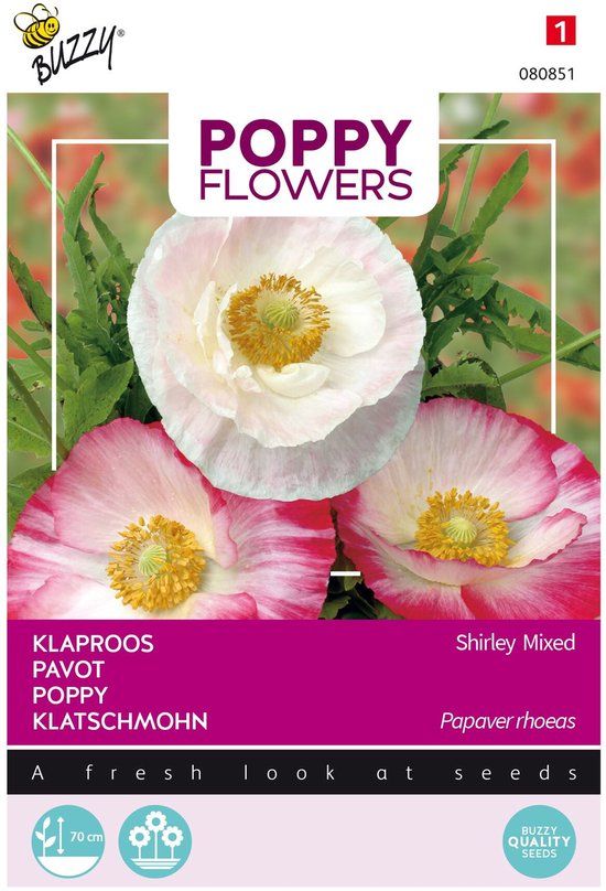 Buzzy Poppies Of The World Klaproos Bloemzaad - Gemengd