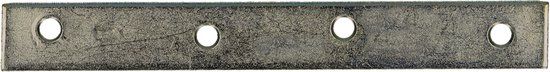 pgb-Europe FG Smalle verbindingsplaat 15x2x100 A2 | 50 st