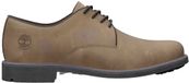Timberland Stormbucks Schoenen Bruin EU 40 Man