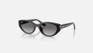 Ray-Ban 0RB4457D Zwart