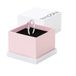 Pandora Dames Ring Sterling Zilver 925 193510C01-58 Ringmaat 58