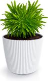 Prosperplast Plantenpot/bloempot Buckingham - ivoor wit - D39 x H34 cm