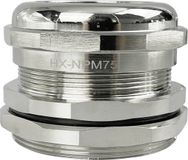 TRU COMPONENTS TC-10302864 Wartel M75 Messing (vernikkeld) Metaal 1 stuk(s)