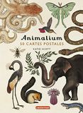 Animalium: 50 cartes postales