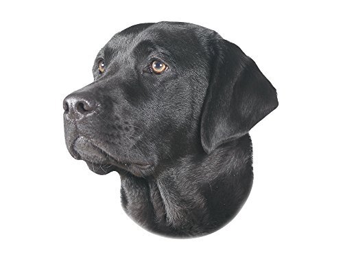 Nobby Sticker Labrador zwart geel 12 x 3,5 cm