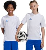 adidas teamwear adidas T-shirt Kinderen Tabela 23 Jersey Wit-Blauw - Maat 140cm