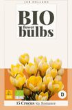 JUB - Crocus sp. romance bio, 15 bollen