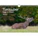 Seelenzauber Dierlijke Magie Jacht- En Bos A4-Kalender Voor 2022