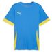 Puma Jersey TeamGoal