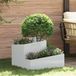vidaXL Plantenbak zilver 60 x 60 x 50 cm gegalvaniseerd staal