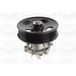 Graf PA1083 pompe à eau