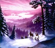 The Winter Tree - Winter Tree
