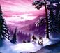 The Winter Tree - Winter Tree