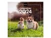 Finocam Muurkalender 30 x 30 cm, januari 2024 - december 2024, Franse honden en katten
