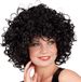 Boland Pruik Candice Zwart Golvend Lang Vrouwen Showgirl