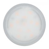 Paulmann 93072 Spot - 530 Lumen - Acier satiné