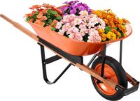 VEVOR Kruiwagen Transportkruiwagen Bouw Kruiwagen Duwwagen 120kg 140x62x58cm