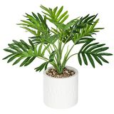 Atmosphera Etnik H29 Palm Cement Wit