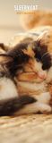 Sleepy Cat 2027 Slim Kalender