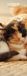 Sleepy Cat 2027 Slim Kalender
