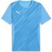 Puma Jersey teamGoal Graphic