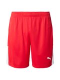 PUMA teamLIGA26 Shorts
