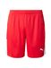 PUMA teamLIGA26 Shorts