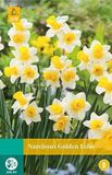 Jub Narcissus Golden Echo bloembollen 5 bollen Narcis JUB