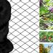 Filet anti-oiseaux en nylon pour plantes fruitières 15m x 15m noir