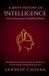 A Libri GmbH A Brief History of Intelligence Paperback