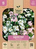 Baltus Gipskruid Elegans mengsel bloemenzaad Nature Gifts