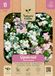 Baltus Gipskruid Elegans mengsel bloemenzaad Nature Gifts