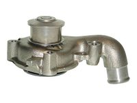 Saleri SIL PA590P waterpomp