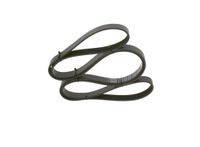 BOSCH Keilrippenriemen 1987947956