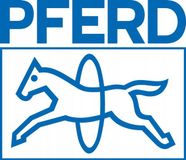 PFERD Paard Diamant Werkplaatsvijl Plat 200mm D151