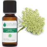 Voshuiles Huile Essentielle De Khella 10ml