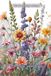Fleurs sauvages – Livre de coloriage botanique
