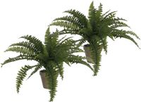 Mica Decorations Varen kunstplant - 2x - groen - 45 x 70 cm