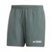 adidas Terrex Multi Shorts Heren