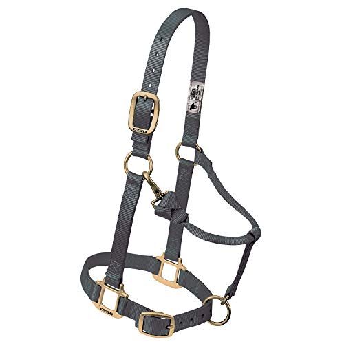 Weaver Leather Origineel verstelbaar kin en keel Snap Halter - 1 inch - Klein paard