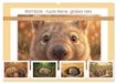 Wombats CALVENDO Wombats - Kurze Beine, großes Herz (Wandkalender 2027 DIN A2 quer), CALVENDO Monatskalender: Australiens liebenswerte Beuteltiere beobachtet