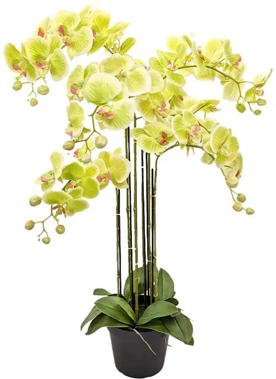 Buitengewoon Boet Orchidee Kunstplant 6-tak 88 cm - Groen