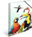 HERMA A4 Papegaaien Mappen Set, 3-delig, kinderhoekmappen van kunststof met dierenmotief, elastiek, binnenflappen en binnenopdruk voor jongens en meisjes