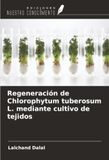 Regeneración OmniScriptum SRL Regeneración de Chlorophytum tuberosum L. mediante cultivo de tejidos Paperback