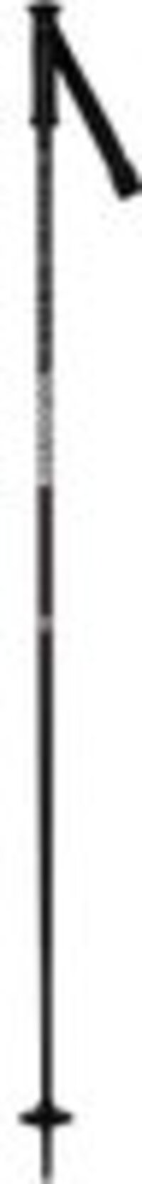 Rossignol Electra Skistok Zwart 110 cm - Unisex