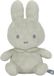 Little Dutch Nijntje Knuffel - Groen - 20cm