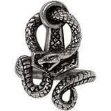 Alchemy Gothic - Gothic Ring - Bane Of Thor - zilverkleurig