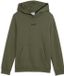 Puma Ess Small No.1 Logo Centered Hoodie Fl B Sweater - Fashion Wear - Kinderen